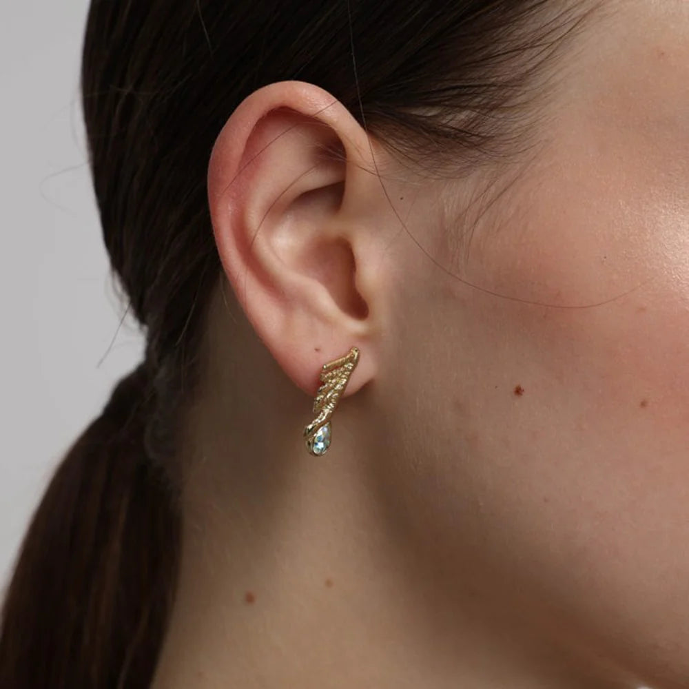 Aros alas con cristal