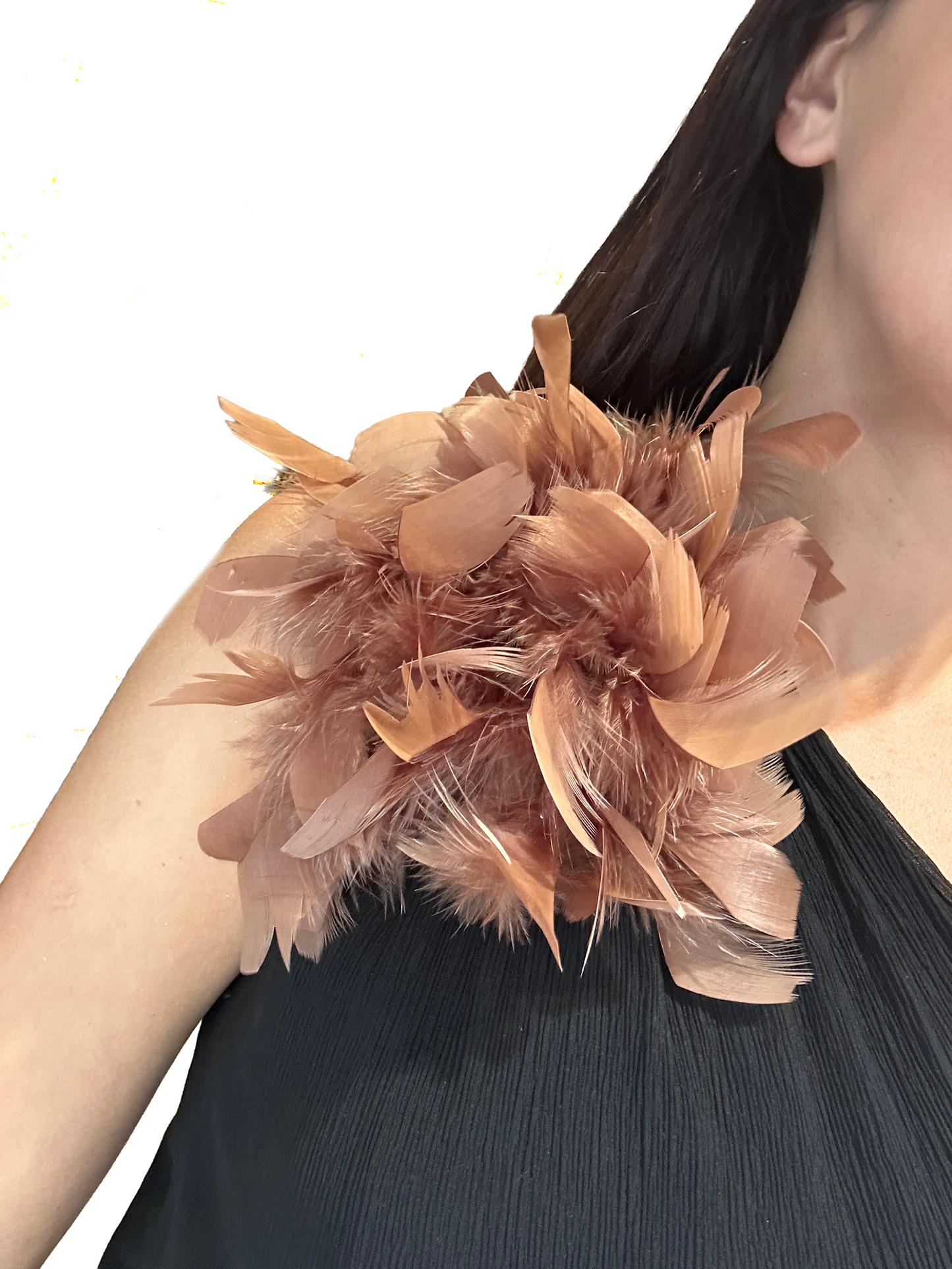 Broche plumas
