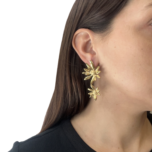 Aros doble margarita