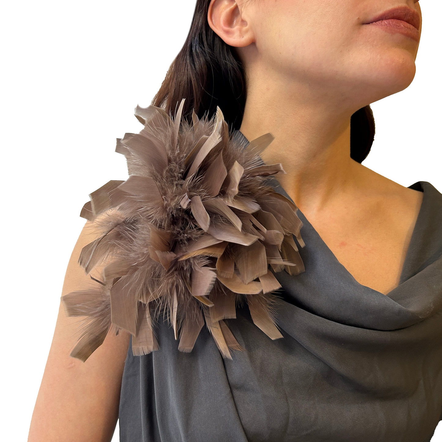 Broche plumas