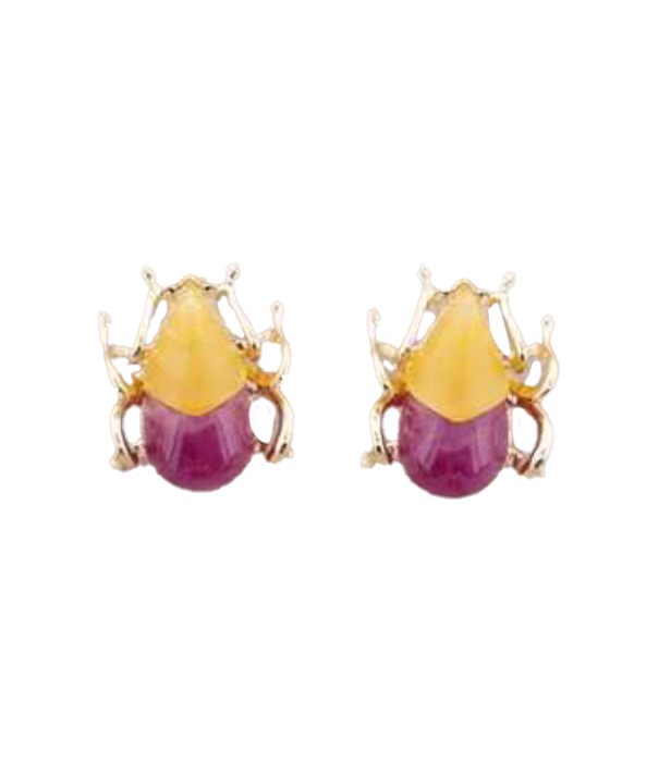 Aros escarabajos
