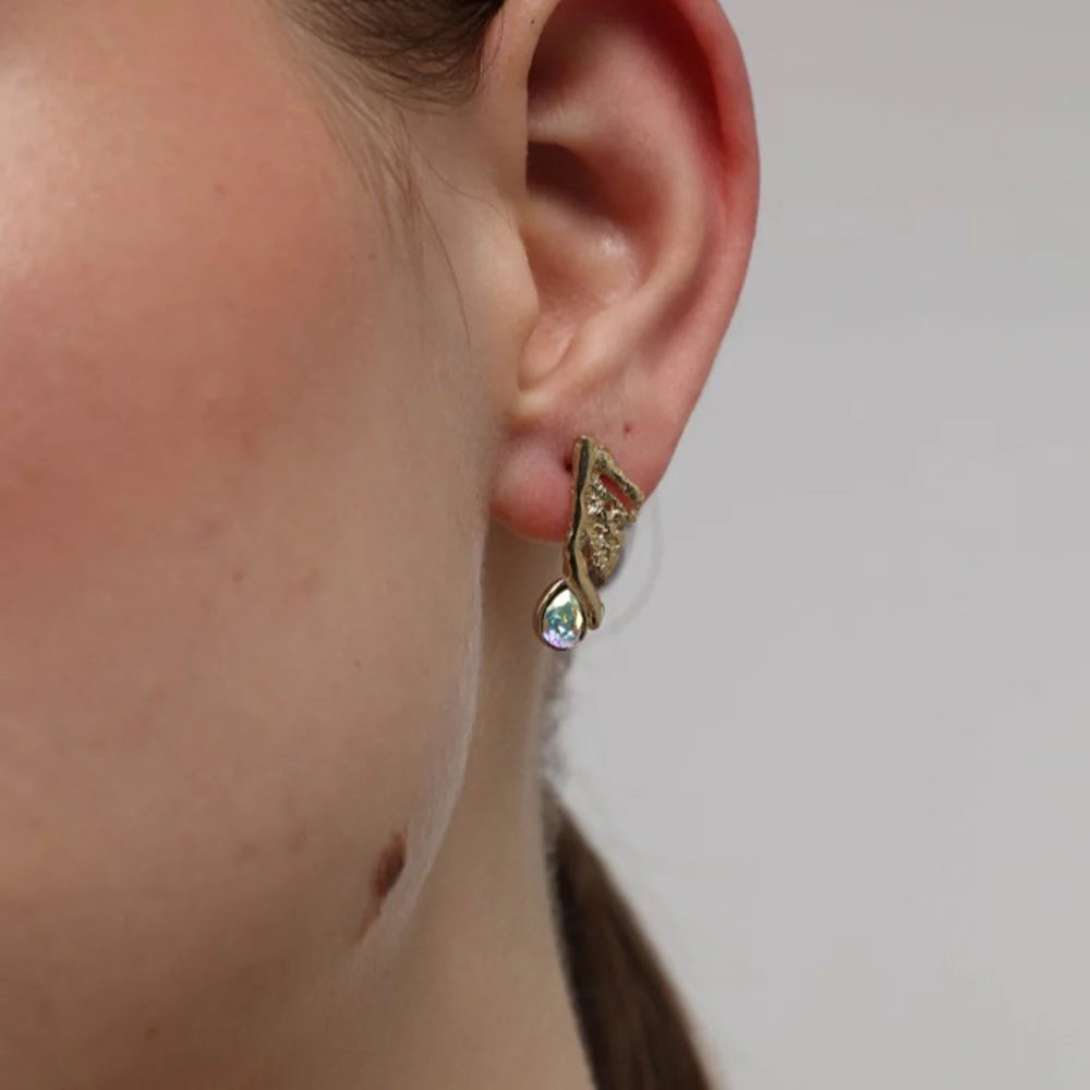 Aros alas con cristal