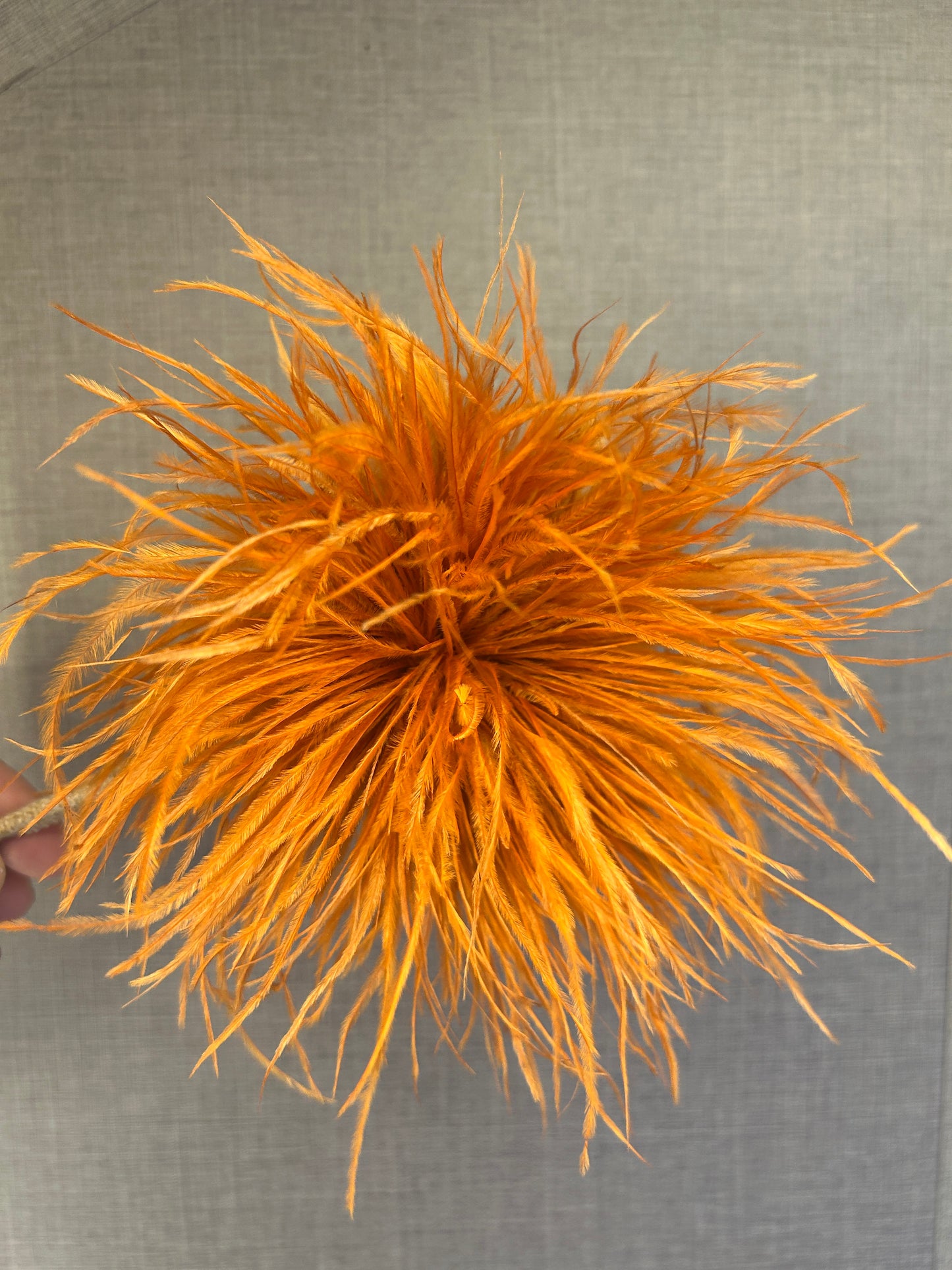 Broche plumas avestruz