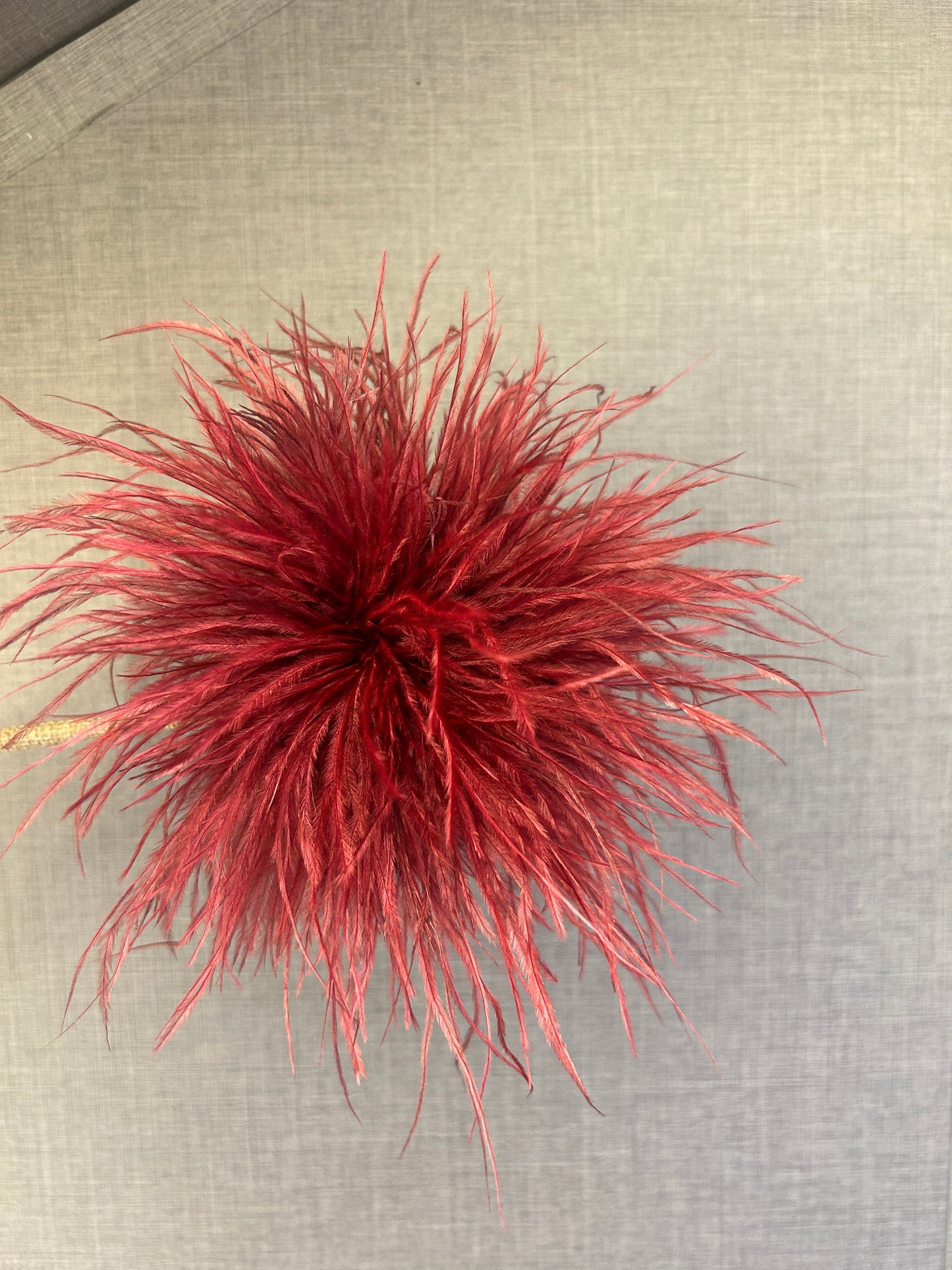 Broche plumas avestruz