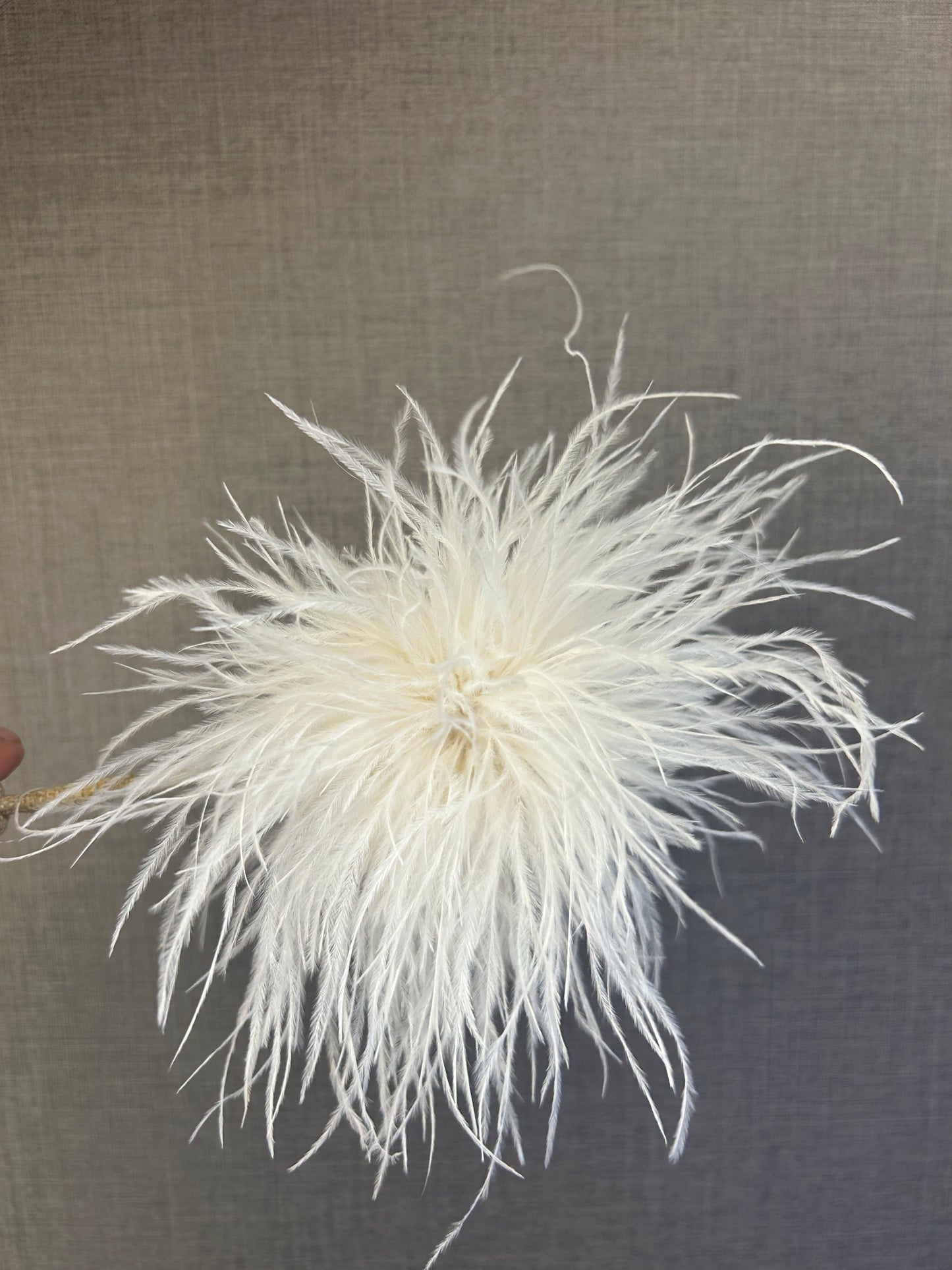Broche plumas avestruz
