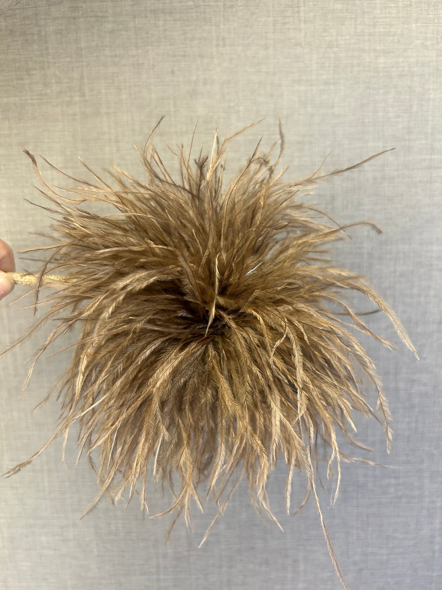 Broche plumas avestruz