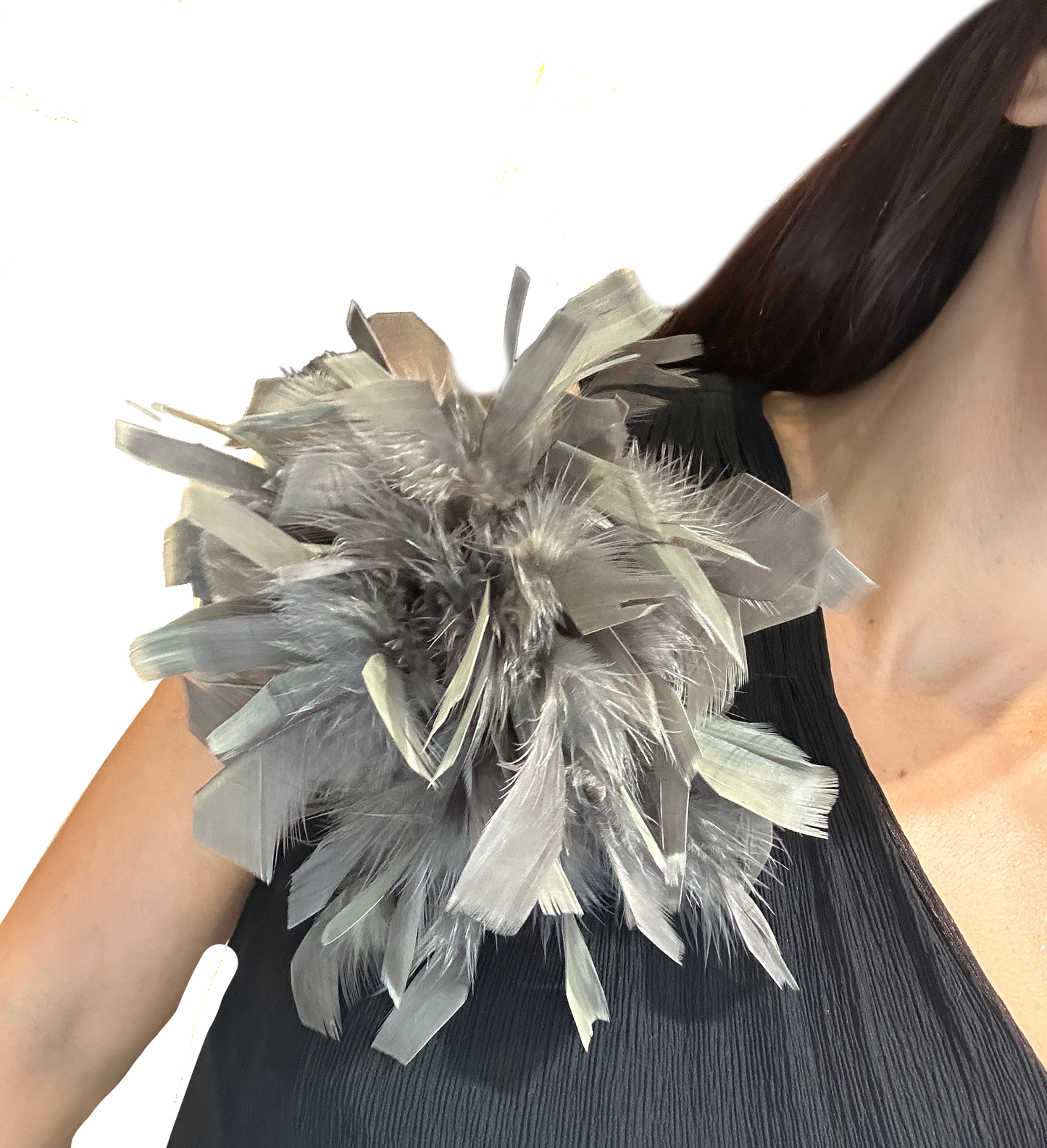 Broche plumas
