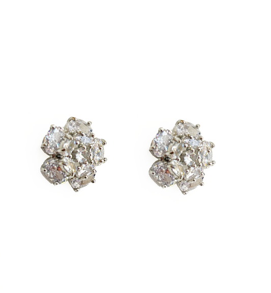 aros cameliass