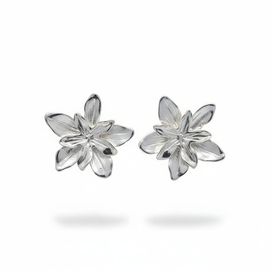 Aros  flores plateados opacos